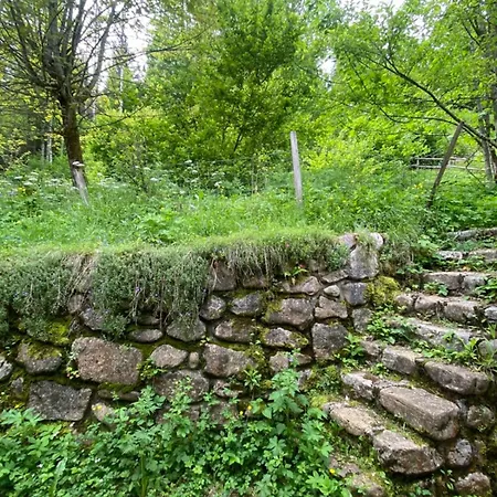 度假居 La Diat En Chartreuse *